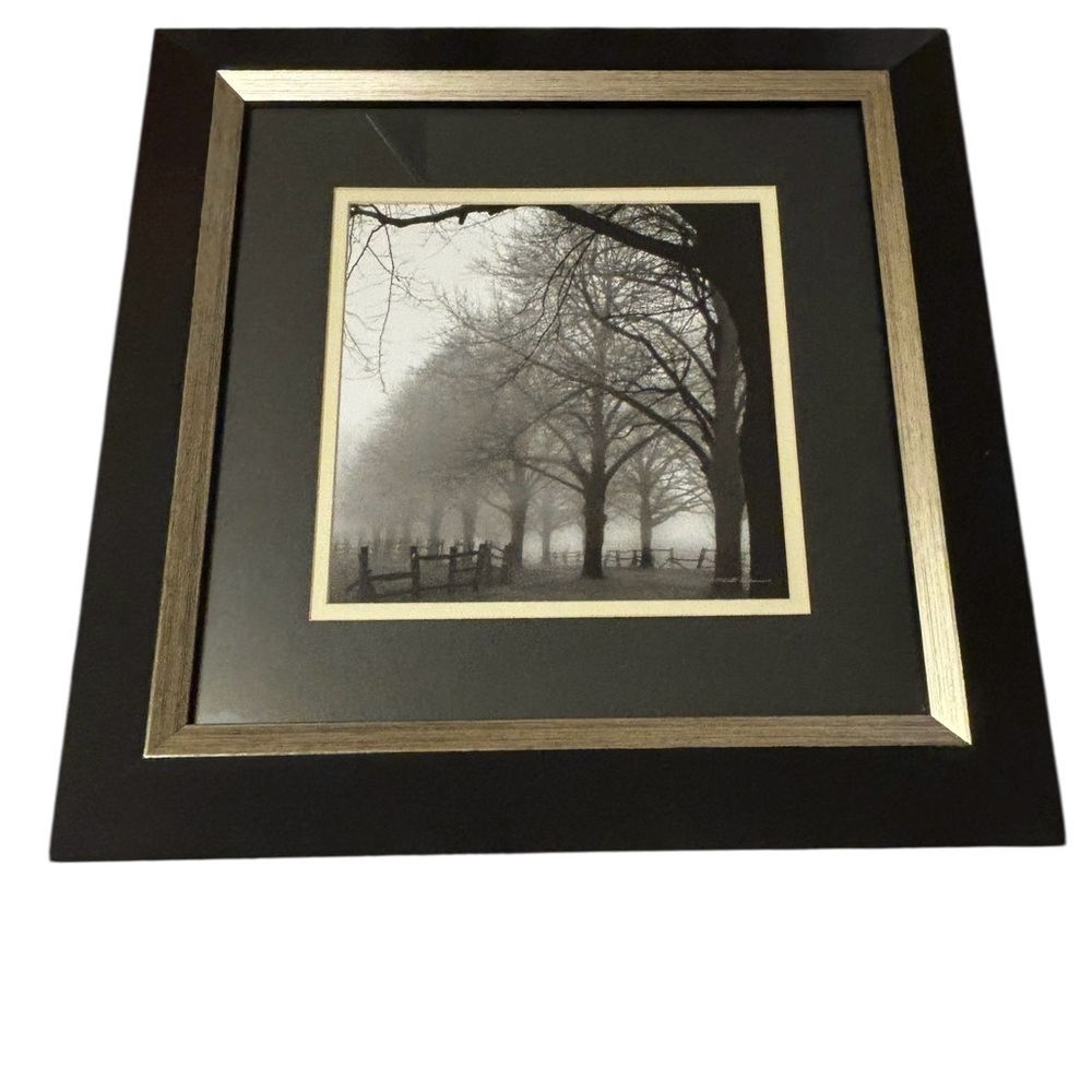 Framed Art Print 'Black and White Morning' by Harold Silverman 15X15 Framed